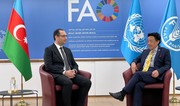 Prospects for Azerbaijan-FAO cooperation discussed in Italy