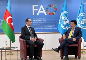 Prospects for Azerbaijan-FAO cooperation discussed in Italy