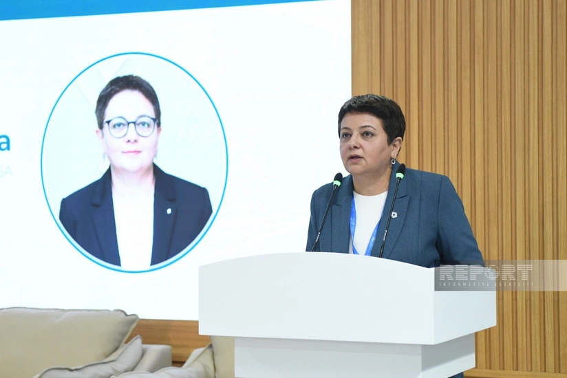 Azerbaijan develops strategy to prevent zoonotic diseases