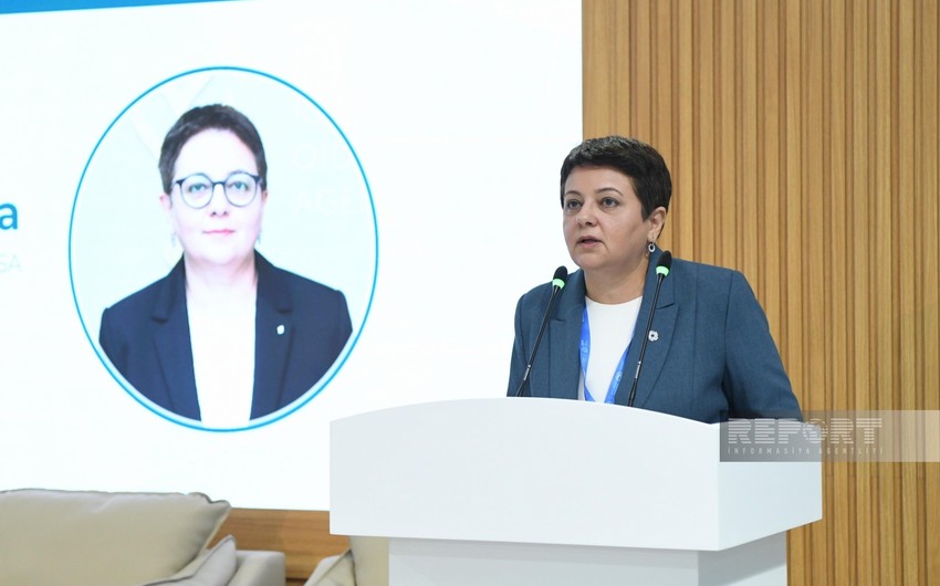 Azərbaycanda zoonoz xəstəliklərin qarşısının alınmasına dair strategiya hazırlanıb