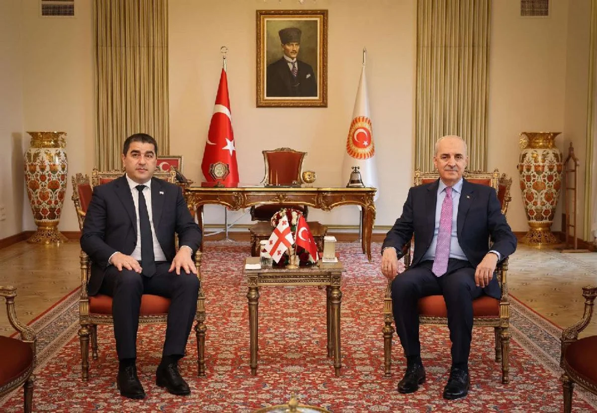 Georgian and Turkish parliamentary speakers discuss regional cooperation