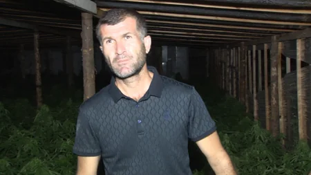 Maştağa sakininin istixanasından 912 ədəd çətənə kolu aşkarlanıb