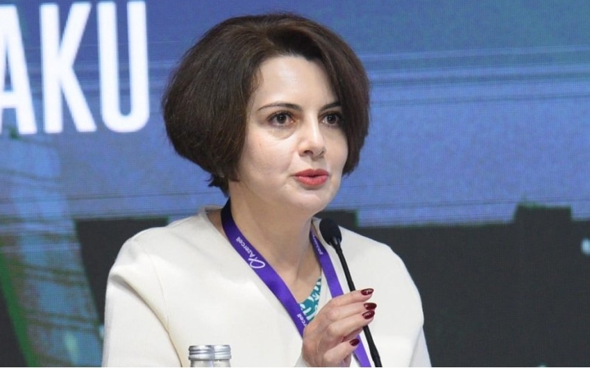 BOEMDA rəsmisi: Aİ ölkələri yaşıl enerji idxalına daha çox ehtiyac duyacaq