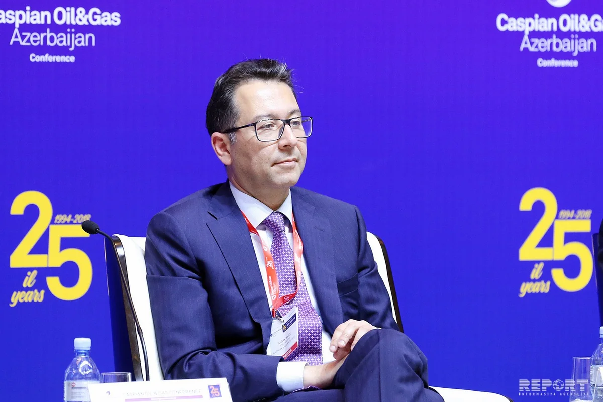 Azerbaijan invested over $ 500 mln in Southern Gas Corridor this year