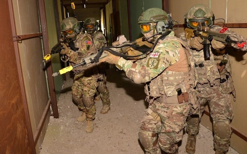Azerbaijan, Turkiye and Georgia to hold training of their special forces