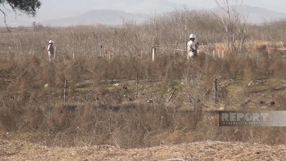 59 anti-tank mines found at mass grave site in Azerbaijan’s Fuzuli