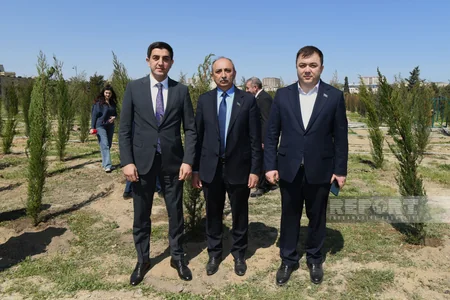Qərbi Azərbaycan İcması Heydər Əliyevin 100 illiyi ilə əlaqədar ağacəkmə kampaniyası keçirib