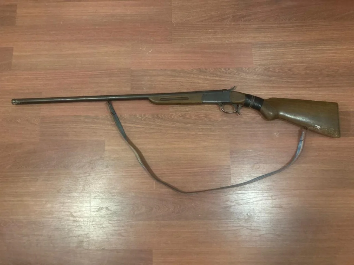 İsmayıllı və Qəbələ sakinlərində odlu silah aşkarlandı