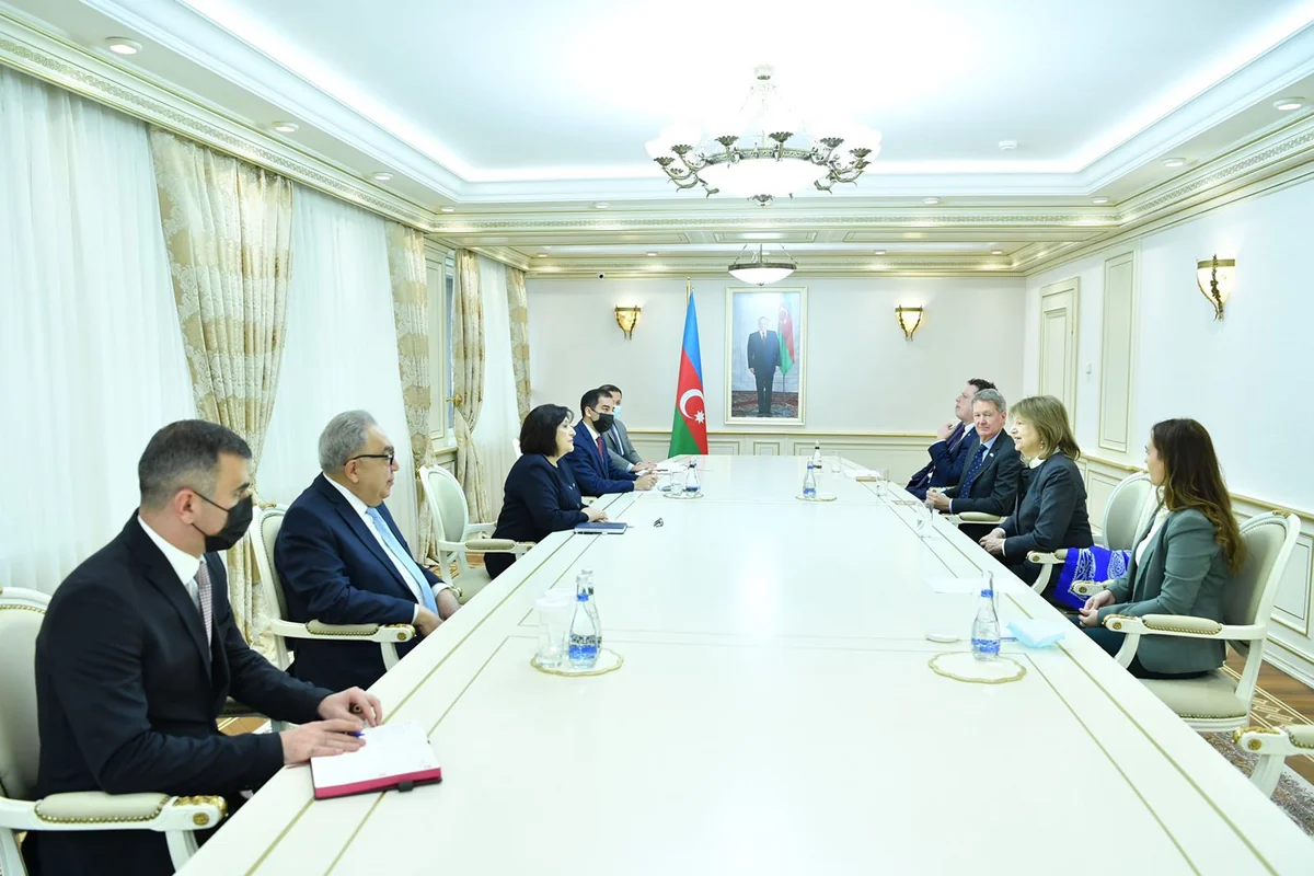 Azerbaijani parliament speaker meets UK PM trade envoy in Azerbaijan