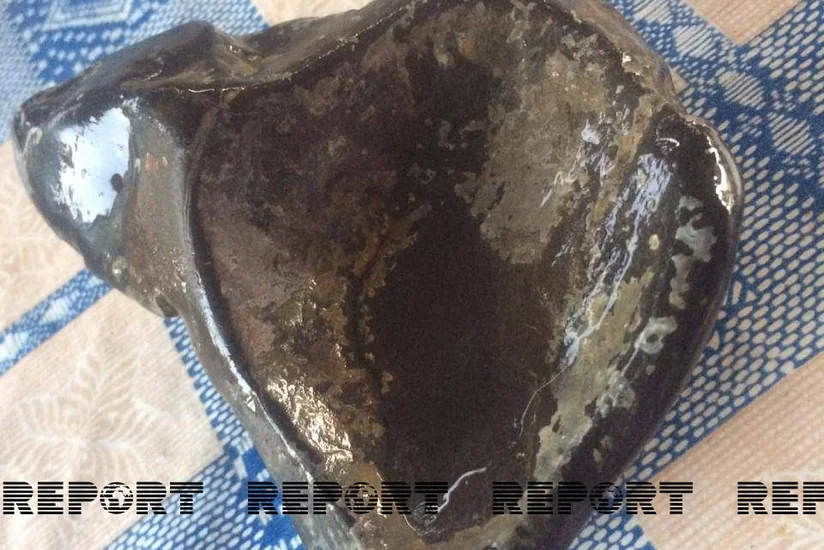 Cəlilabadda məktəbli tunc dövrünə aid məişət əşyası tapıb