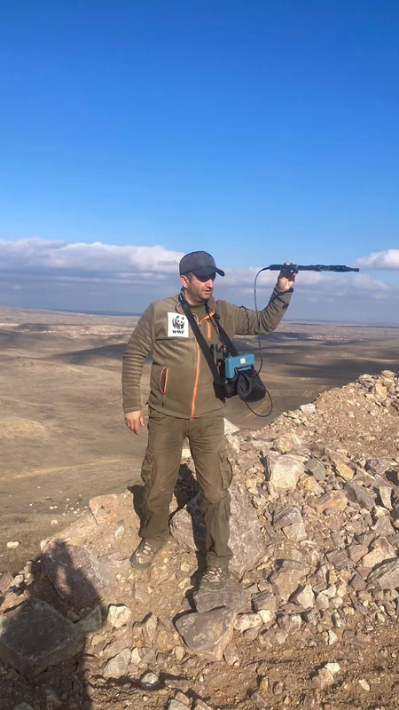 Xidmət rəisi: Cəbrayıldakı ceyranların digər ərazidə də görünməsi onların əraziyə uyğunlaşmağını göstərir