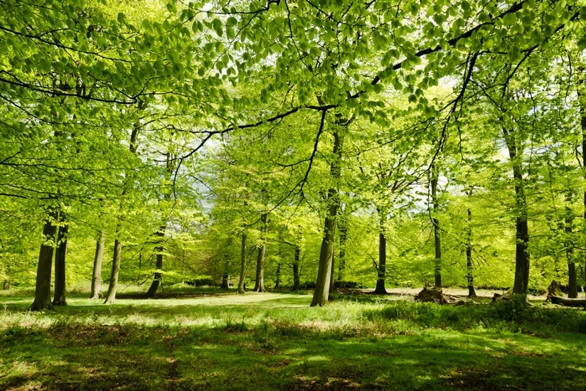 Обнародован прогноз погоды в Азербайджане на завтра