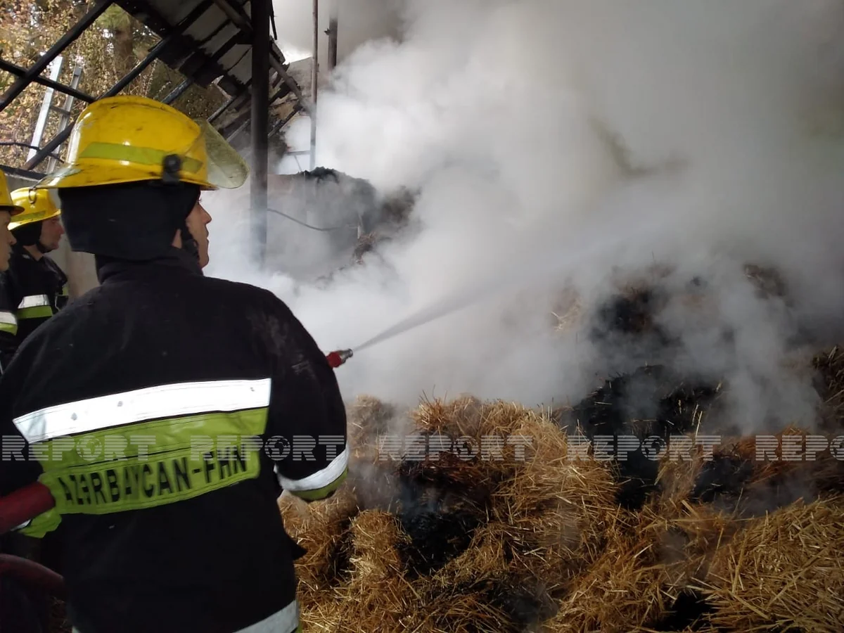 Пожар в Исмаиллы потушен