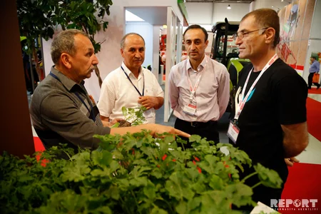 “WorldFood Azerbaijan 2018 və “IPACK Caspian 2018” sərgilərindən - FOTOREPORTAJ