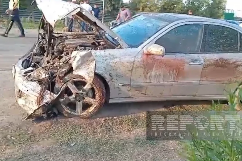 Cəlilabadda iki avtomobil qoyun sürüsünə çırpılıb, 23 heyvan tələf olub - VİDEO - YENİLƏNİB