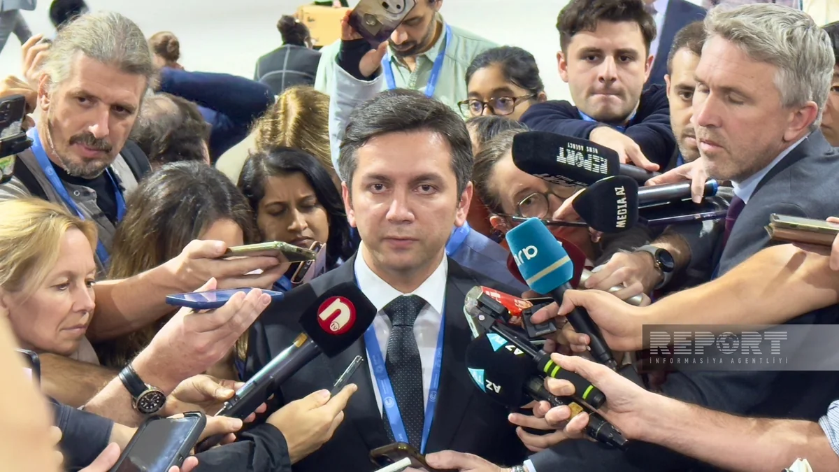 Yalçın Rəfiyev: Həll olunmamış məsələlər üzərində iş davam edir