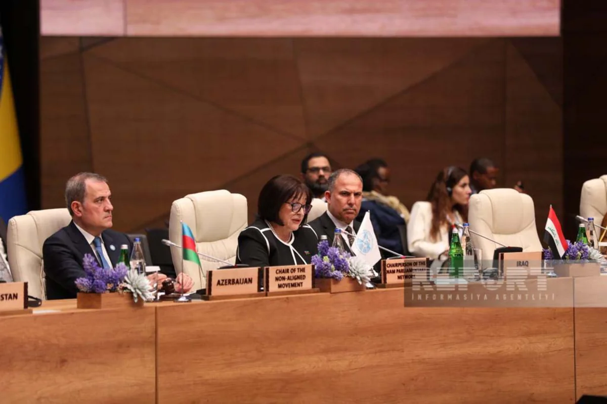 Sahibə Qafarova: “Qoşulmama Hərəkatı postpandemiya dövründə bərpada mühüm rol oynayır”
