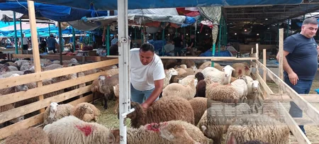 Paytaxt sakinləri qurban kəsir