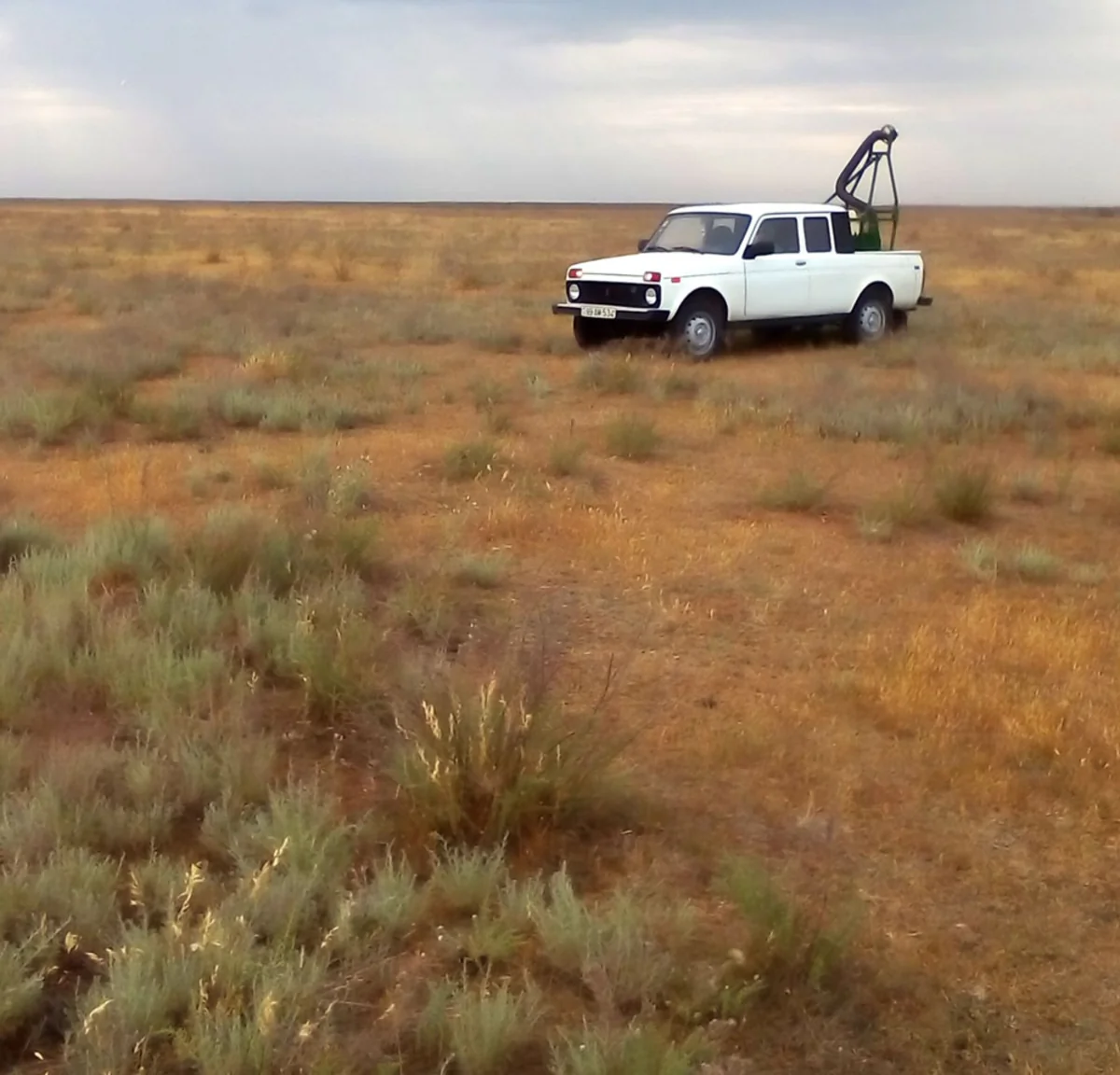 Dövlət Fitosanitar Nəzarəti Xidməti əhalini xəbərdar edib