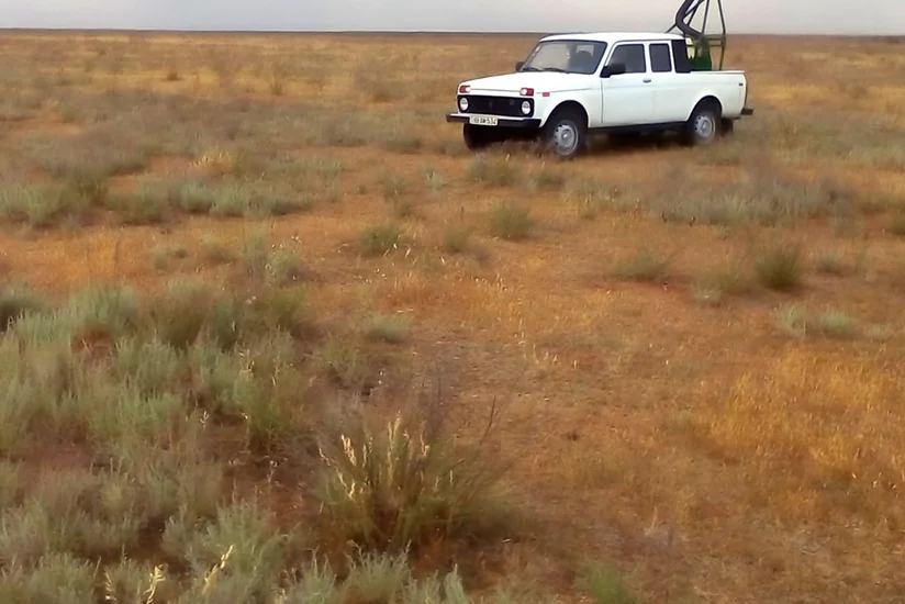 Dövlət Fitosanitar Nəzarəti Xidməti əhalini xəbərdar edib