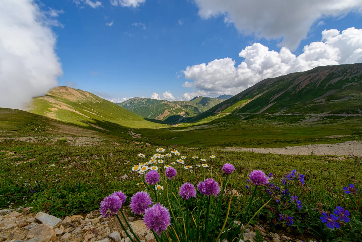 Zaqatala və Balakən ərazisində ilk dəfə Biosfer rezervatı yaradılacaq