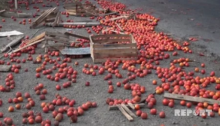 Cəlilabadda yol qəzasında iki qardaş ölüb - FOTO - YENİLƏNİB