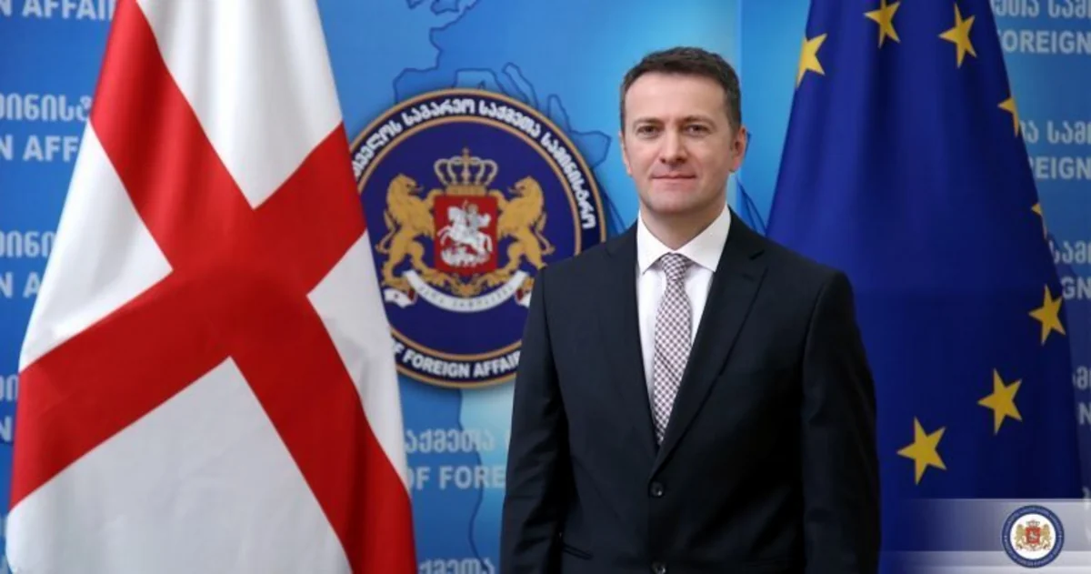 Georgian Foreign Ministry: Experts to jointly review uncoordinated areas with Azerbaijan at the end of June