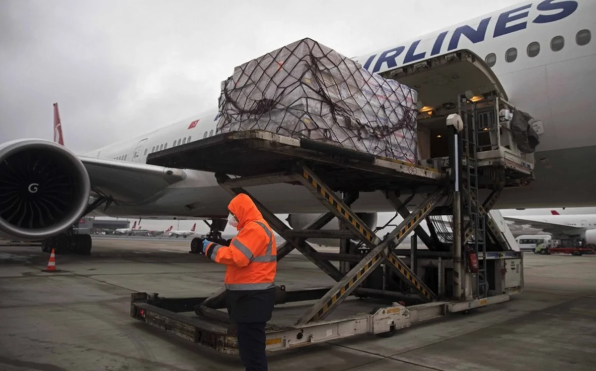 Turkiye, Armenia start air transportation 