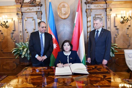 Milli Məclisin Sədrindən mina xəritələri ilə bağlı açıqlama