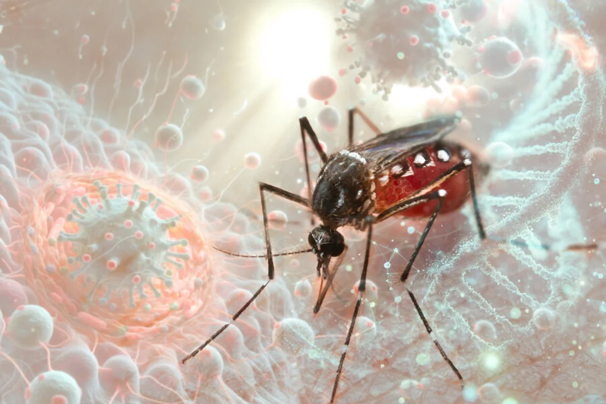 Chikungunya epidemic continues to spread on France's Reunion Island