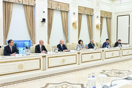 Председатель Милли Меджлиса встретилась с президентом ПА ОБСЕ