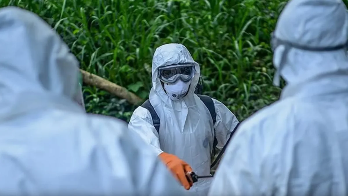 Uqandada Ebola epidemiyasından 29 nəfər ölüb
