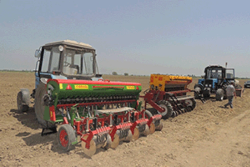 ​Azərbaycanda 31 hektar sahədə dənli bitkilərin 1500 sort nümunəsi tədqiq edilir