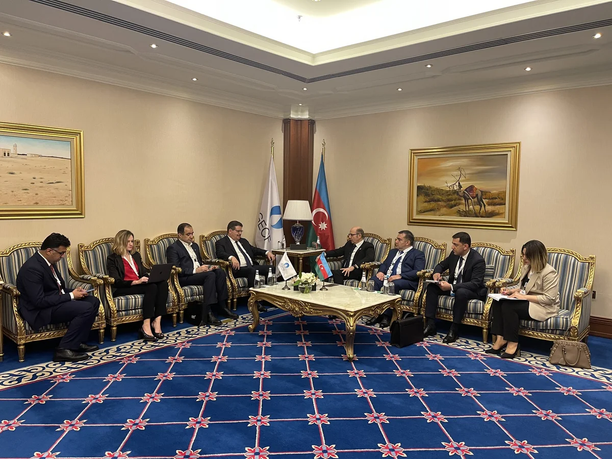 Azerbaijan's Energy Minister, GECF Secretary General discuss cooperation issues
