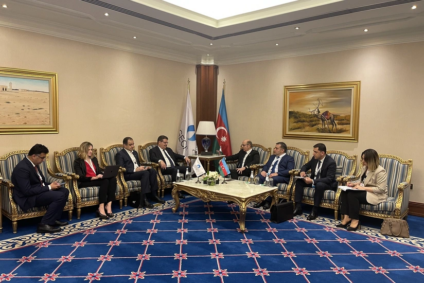 Azerbaijan's Energy Minister, GECF Secretary General discuss cooperation issues