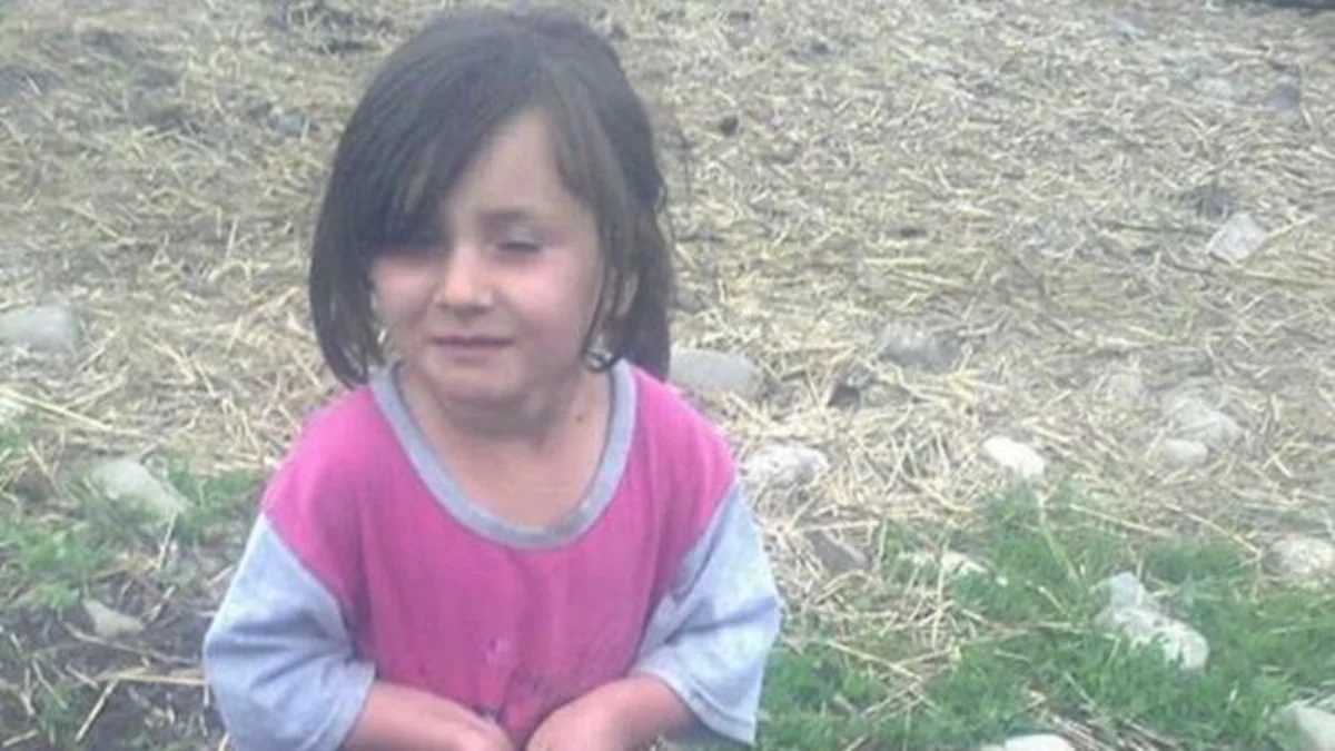 Şahid: Mal-qara dərmanını südə qatıb uşağa verib - MƏHKƏMƏ