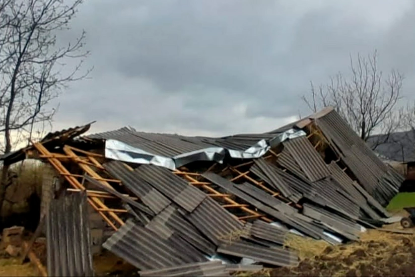 Güclü külək Qaxda mal tövləsini dağıdıb