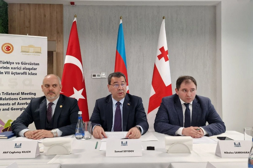Очередную встречу парламентов Азербайджана, Турции и Грузии предложено провести в Сухуми