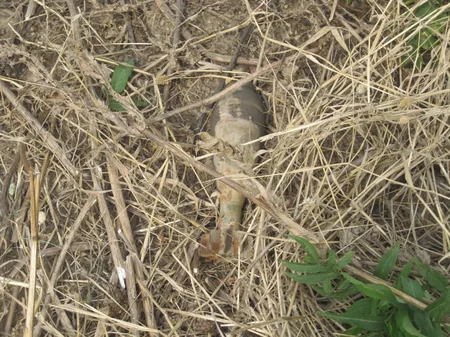 ANAMA finds grad rocket engine in Tartar and Gazakh