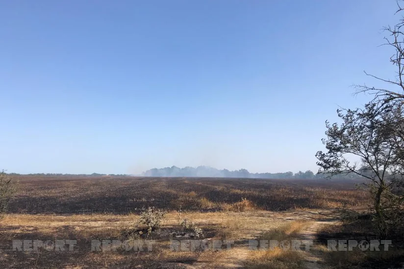 Kənd Təsərrüfatı Nazirliyi və Aqrar Sığorta Fondu fermerlərə müraciət edib