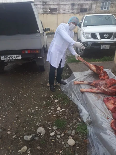 Xaçmazda mənşəyi məlum olmayan heyvan cəmdəyi aşkarlanıb