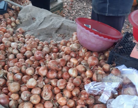 Yeni il qabağı Biləsuvar bazarında vəziyyət: bəzi məhsullar ucuzlaşıb, bahalaşanlar da var