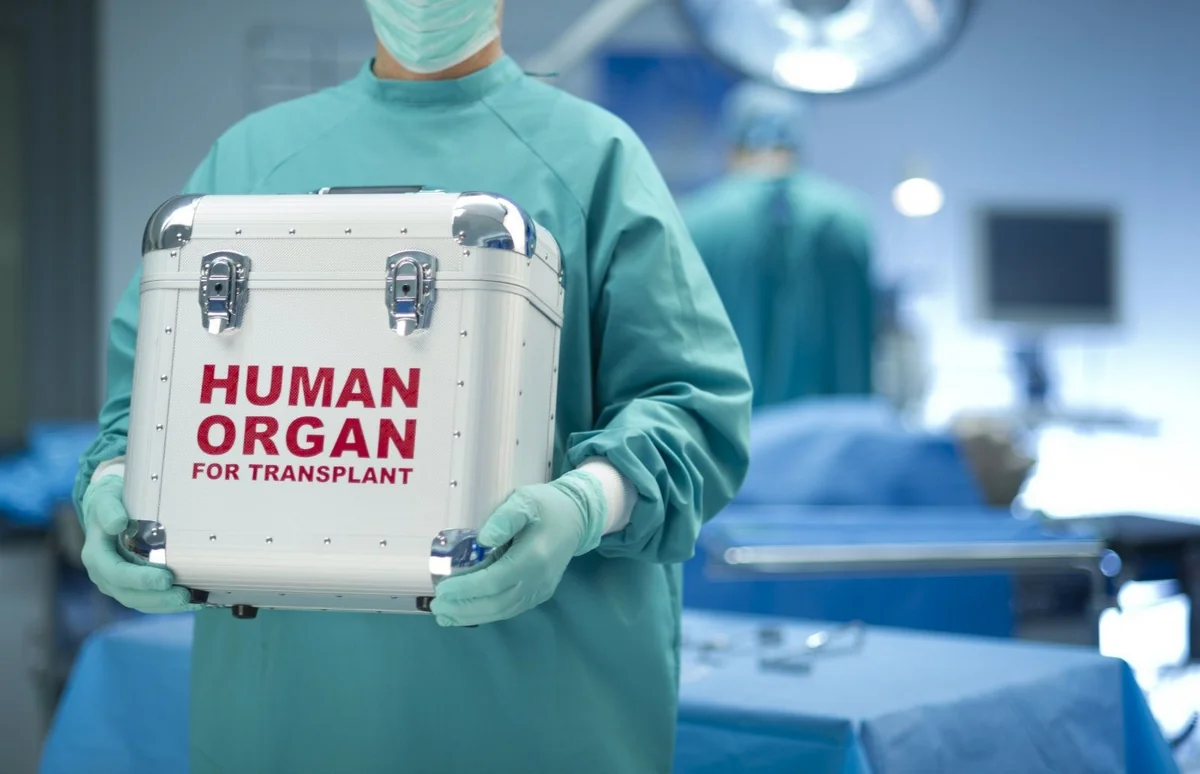 Milli Məclis orqan transplantasiyası ilə bağlı qanun layihəsini qəbul etdi