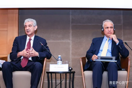 Bakıda Dayanıqlı İnkişaf Məqsədləri: Qadınlar və İnkişaf mövzusunda konfrans keçirilir