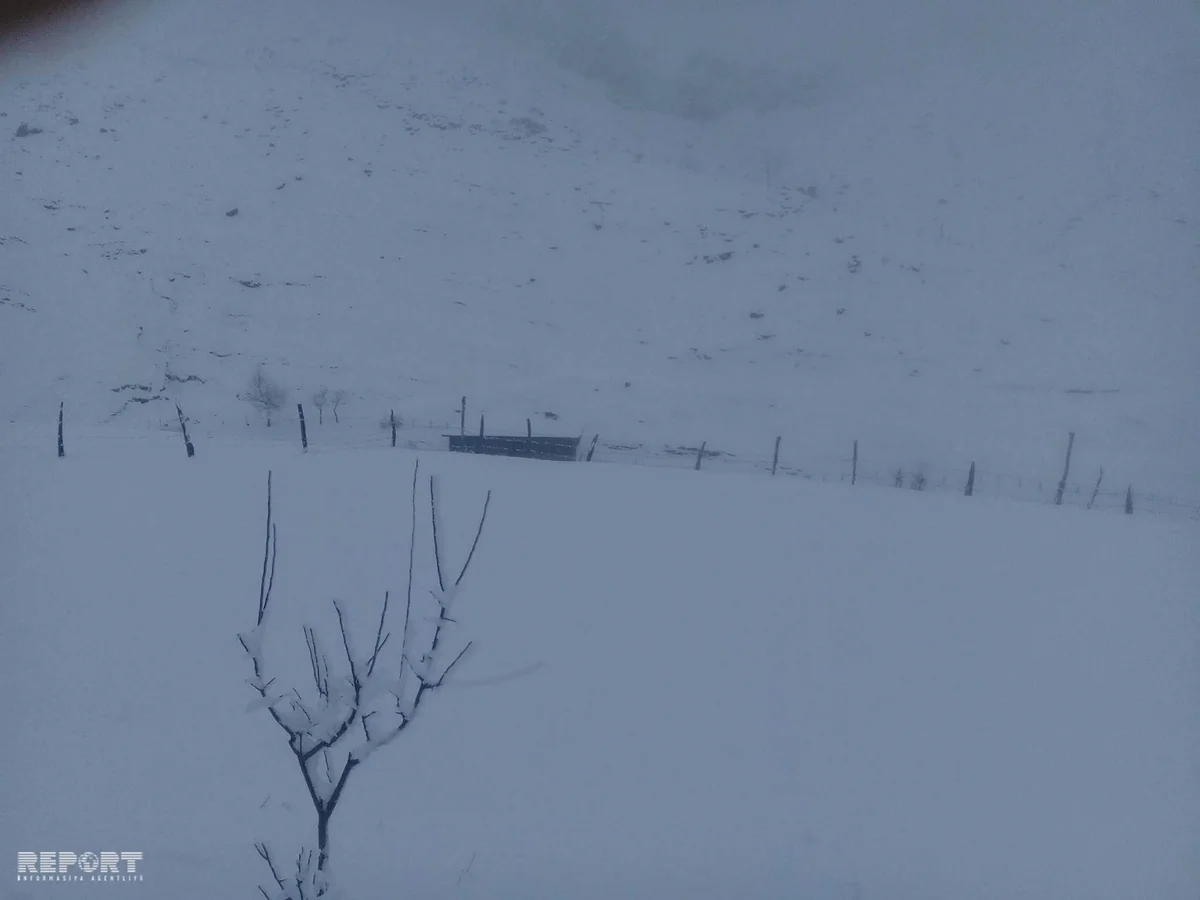 Lerikə yağan güclü qar fəsadlar törədib - FOTO