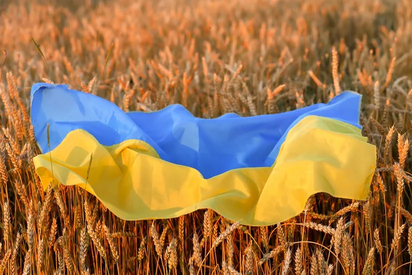 ЕС согласится на продление запрета свободной торговли украинскими зерновыми