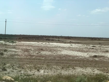 Alimlər: Neftçalada dənizkənarı ərazilər səhralaşa bilər
