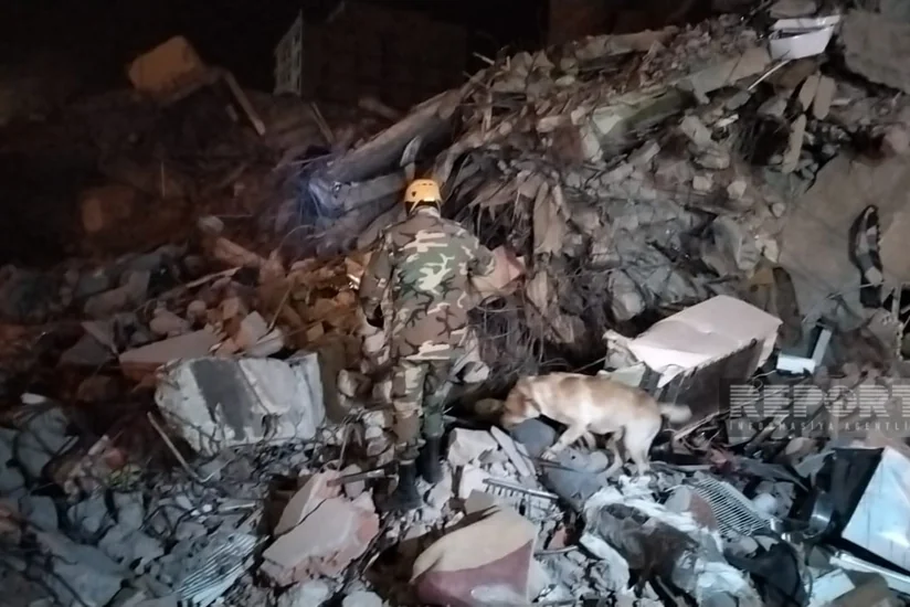 В Турции специально обученные собаки МЧС обнаружили под завалами 15 выживших