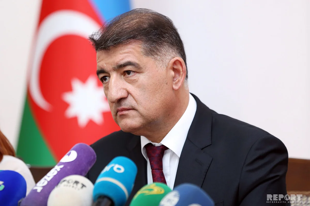 Nazir müavini: Son 6 ayda 59 nəfər ağac kəsintisinə görə cərimələnib