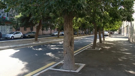 Bakıda daha 4 yolun təmiri başa çatıb